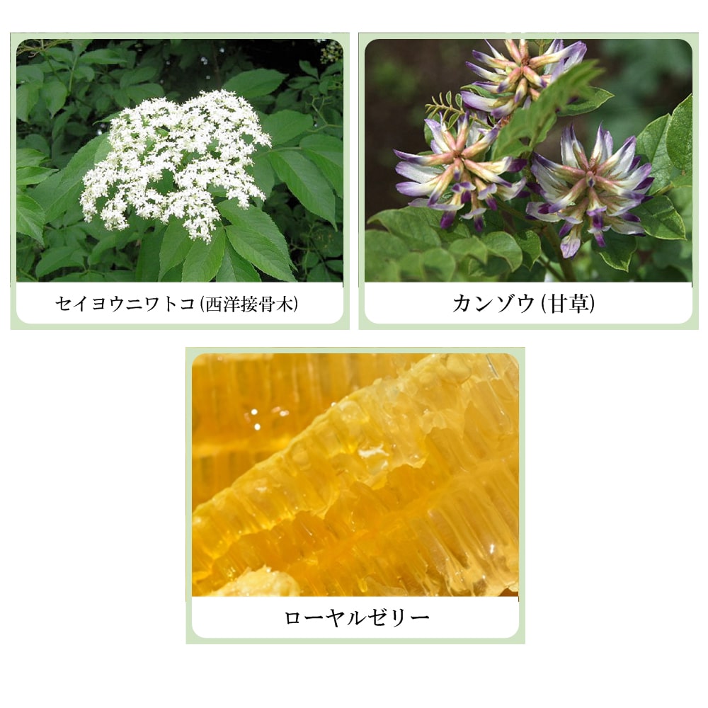 草根木花 ハーブ アストリンゼントローション No.2(紫根化粧水・紫根化粧品)