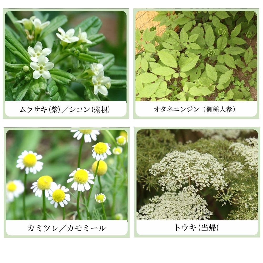 草根木花 ハーブ アストリンゼントローション No.2(紫根化粧水・紫根化粧品)