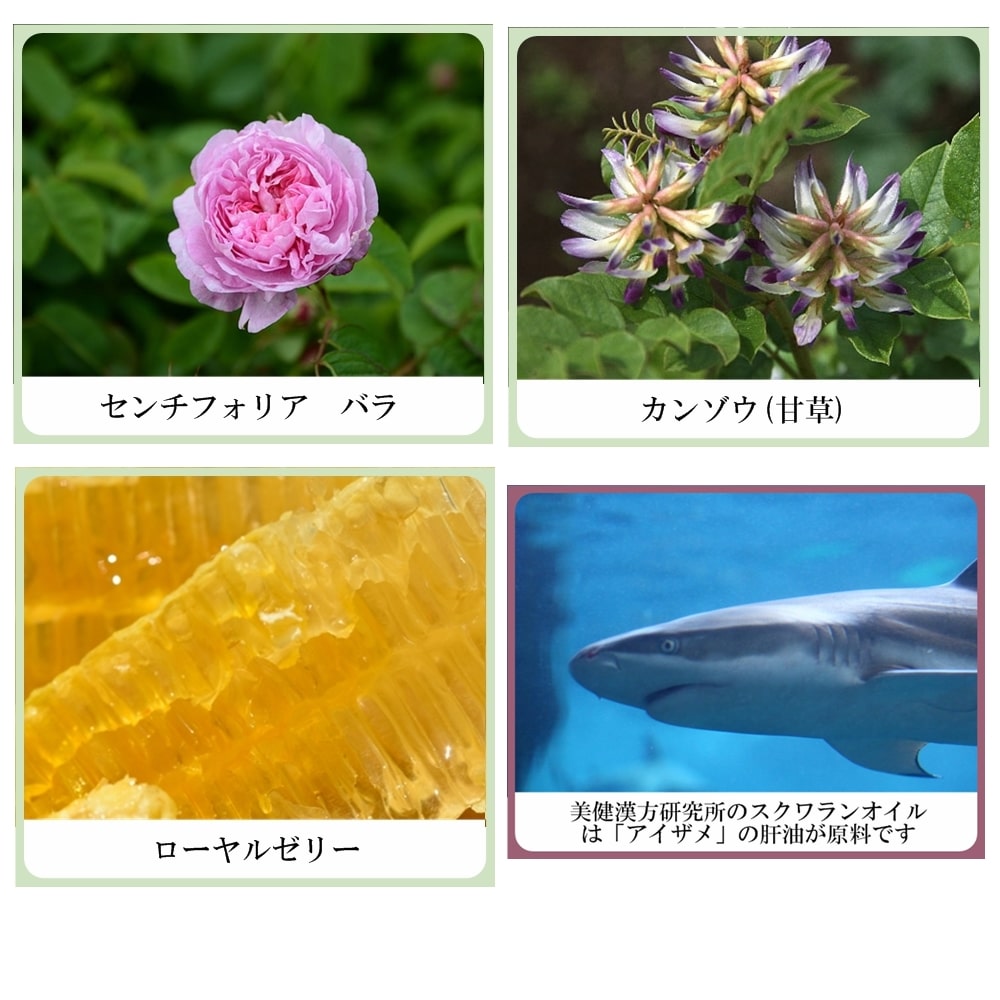 草根木花 ハーブ ミルキーローション No.2（紫根乳液・紫根化粧品）