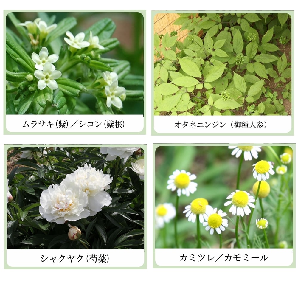 草根木花 ハーブ ミルキーローション No.2（紫根乳液・紫根化粧品）