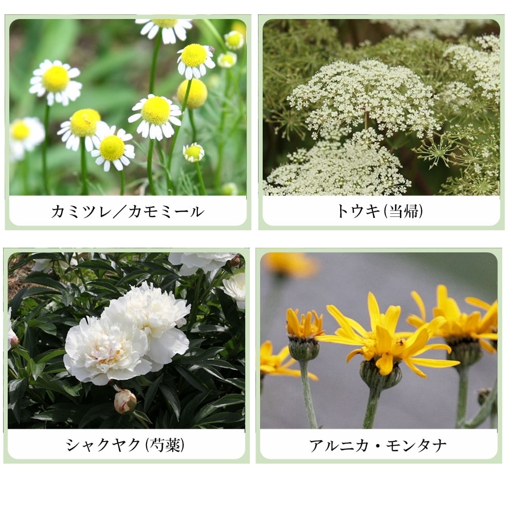 草根木花 ハーブ モイスチュアクリーム No.2 (紫根クリーム・紫根化粧品)