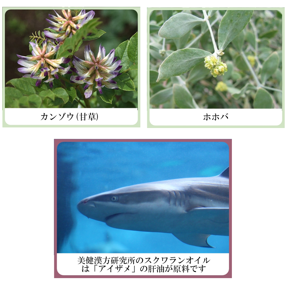 UV ハーブ トリートメント パクト (コラーゲン配合UVカットファンデーション)