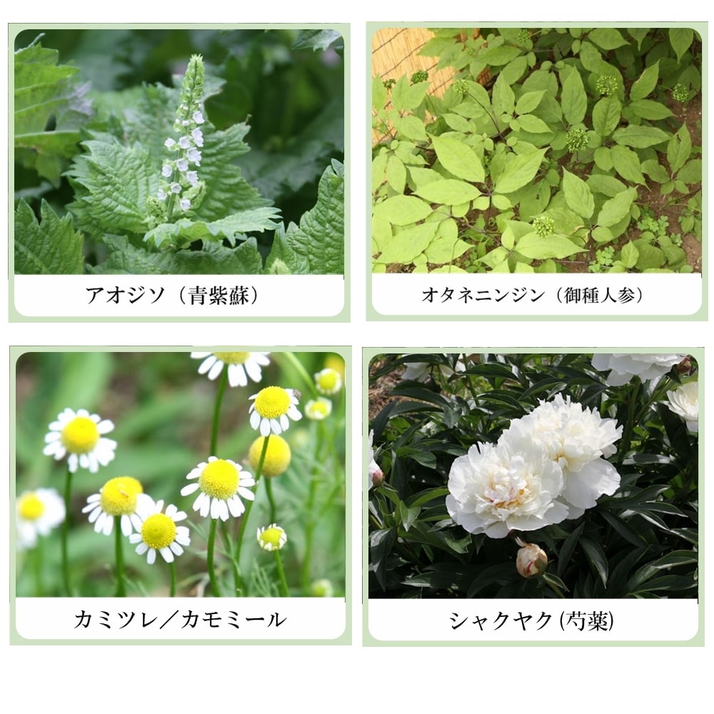 草根木花 ハーブ アストリンゼントローション No.1 （紫蘇化粧水・紫蘇化粧品）
