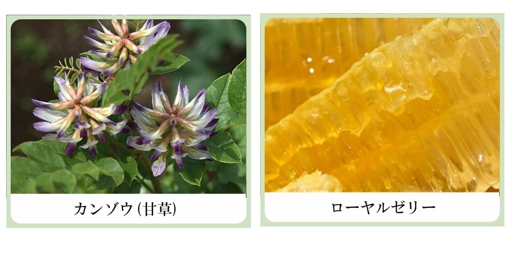 草根木花 ハーブ アストリンゼントローション No.1 （紫蘇化粧水・紫蘇化粧品）