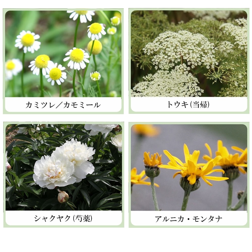 草根木花 ハーブ モイスチュアクリーム No.1 （紫蘇クリーム・紫蘇化粧品）