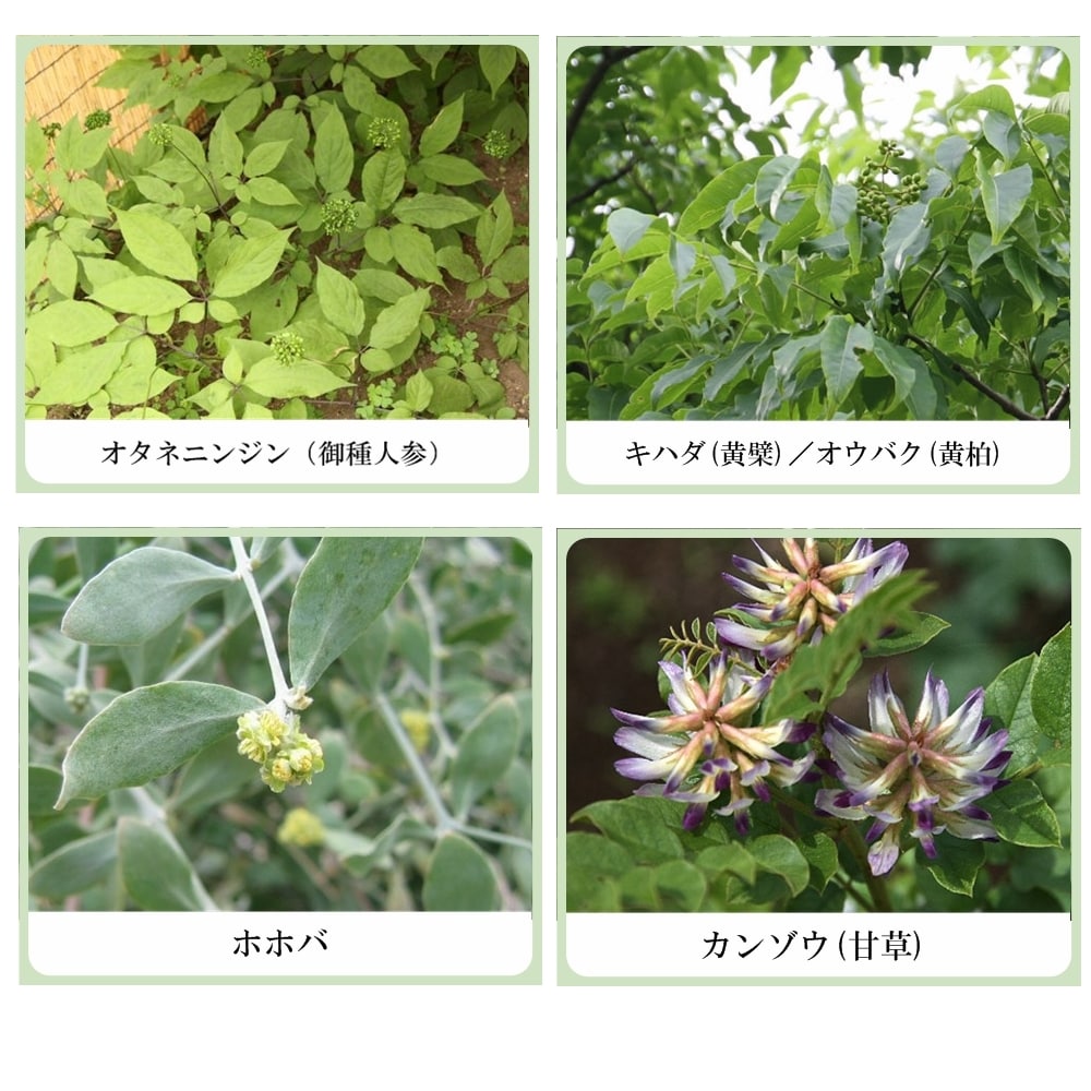 肌果美人 ハーブ コスミッククリーム（フルーツ酸配合ソフトピーリングクリーム）