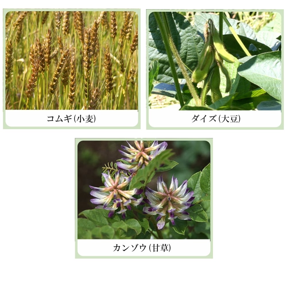 加齢美人　艶麗（えんれい） （アルジルリン・紫根エキス配合美容液）