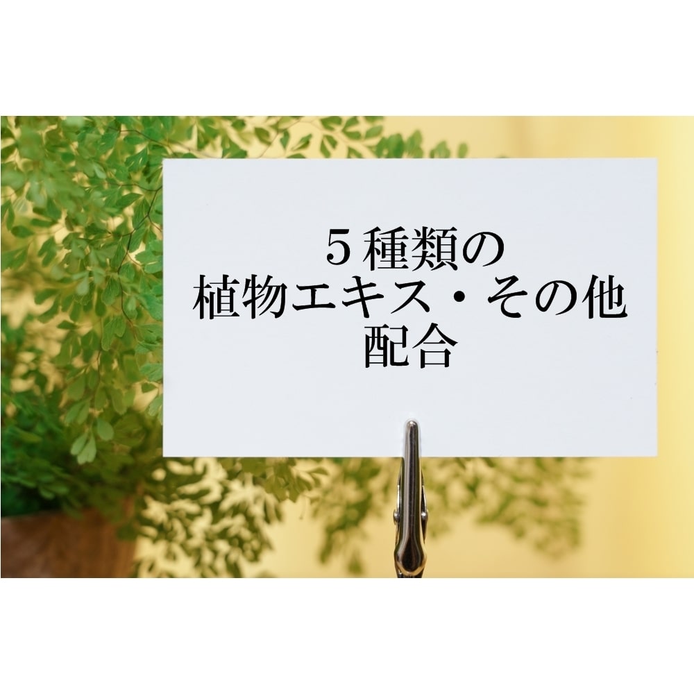 色白美人 ハーブ ホワイト フェアリークリーム(美白ファンデーション&保湿 日焼け止めクリーム)