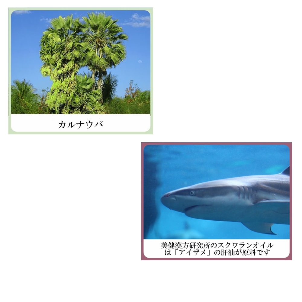 色白美人 ハーブ ホワイト フェアリークリーム(美白ファンデーション&保湿 日焼け止めクリーム)