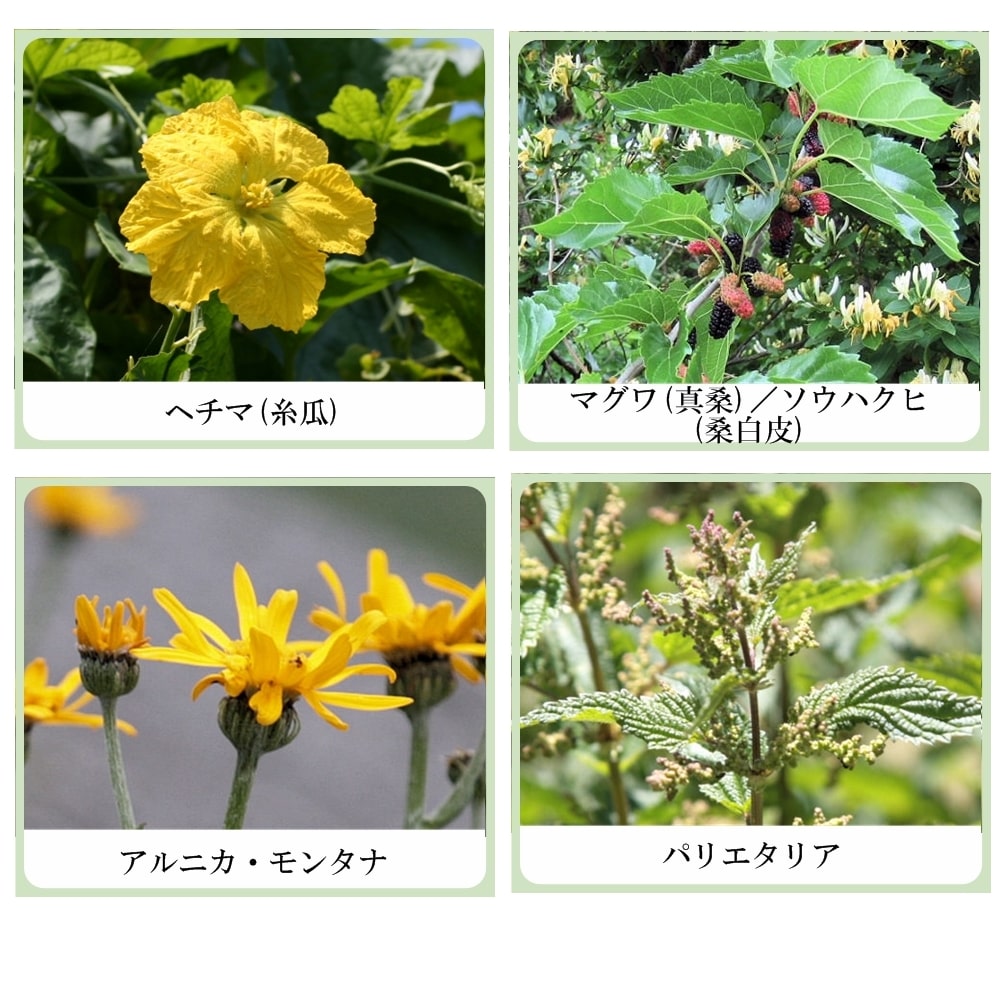 草根木花 ハーブ モイスチュアパック（パパイン酵素配合フェイシャルクレイパック）