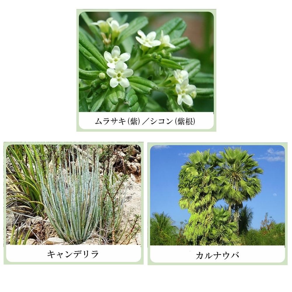 ハーブ トリートメントリップ(紫根リップクリーム&グロス・紫根化粧品)