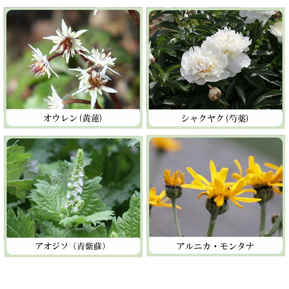 草根木花 ハーブ モイストシャンプー No2（ヘマチン配合　アミノ酸系オールインワンシャンプー　シルバーヘア用）