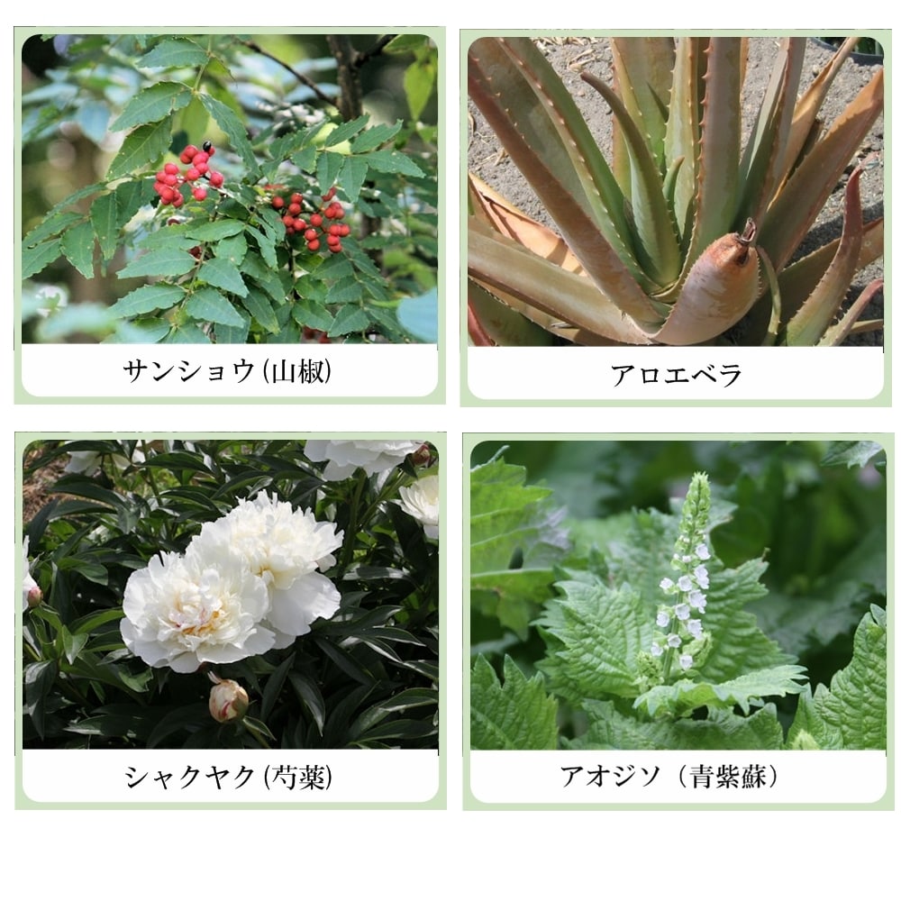 草根木花 ハーブ ヘアエッセンス No2 （ヘマチン配合センブリ養毛剤　シルバーヘア用）