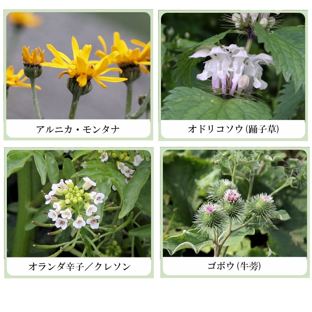 草根木花 ハーブ ヘアエッセンス No2 （ヘマチン配合センブリ養毛剤　シルバーヘア用）