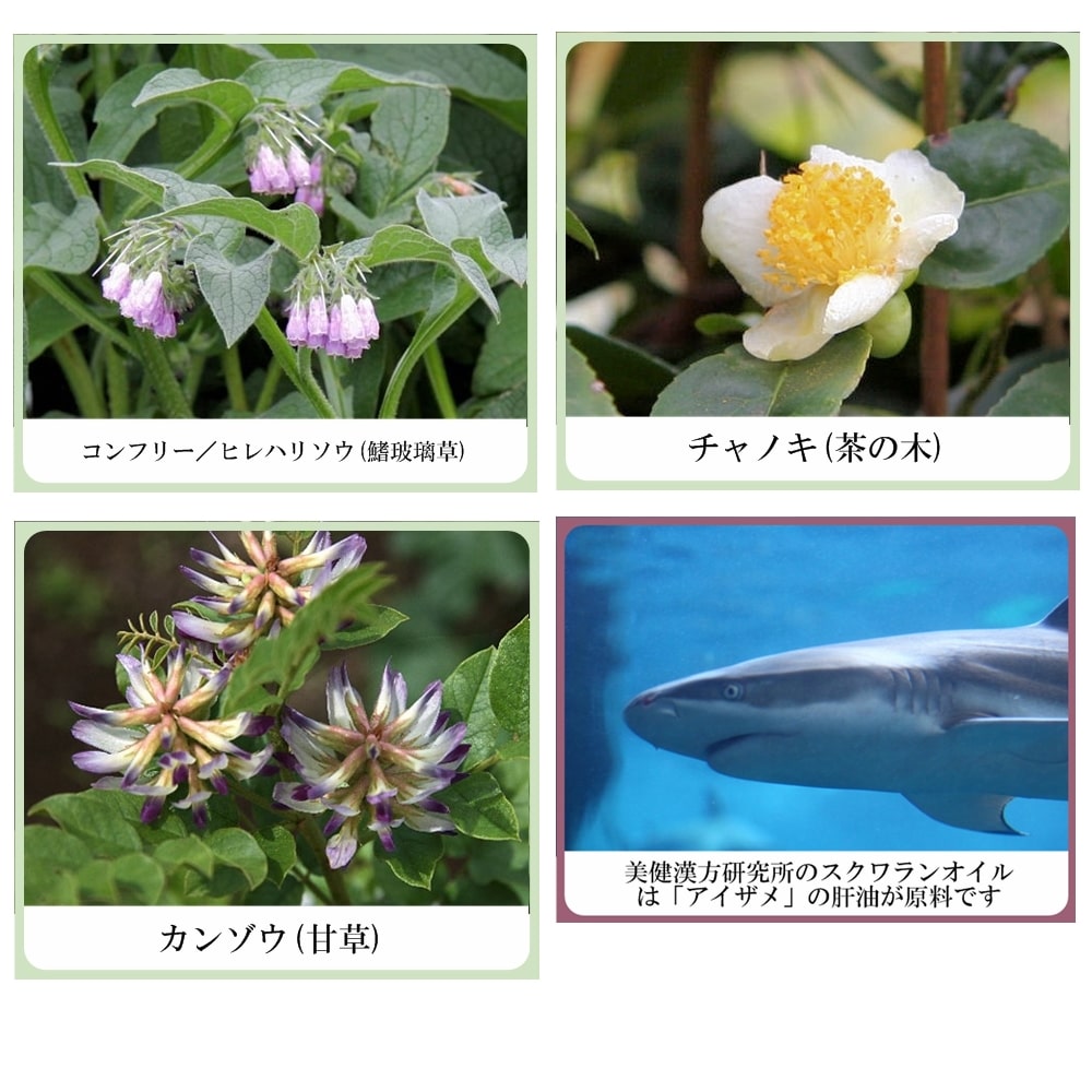 色白美人 ハーブ ラヴリィ ボディホワイト(美白&保湿 ボディ用日焼け止めクリーム)