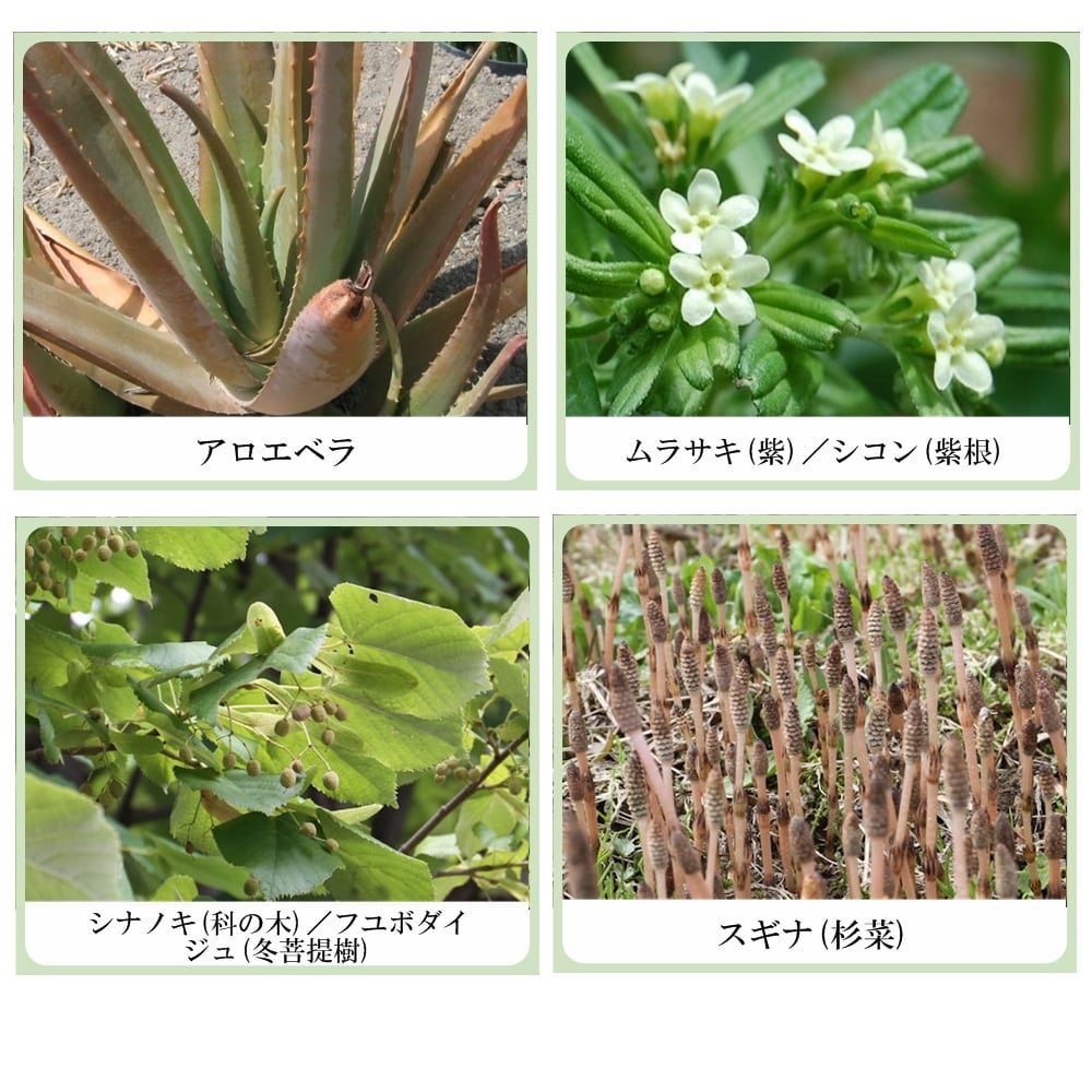 麗人痩美 セルライト ボディリフト ジェル（ナツメエキス＆ヒバマタエキス配合）